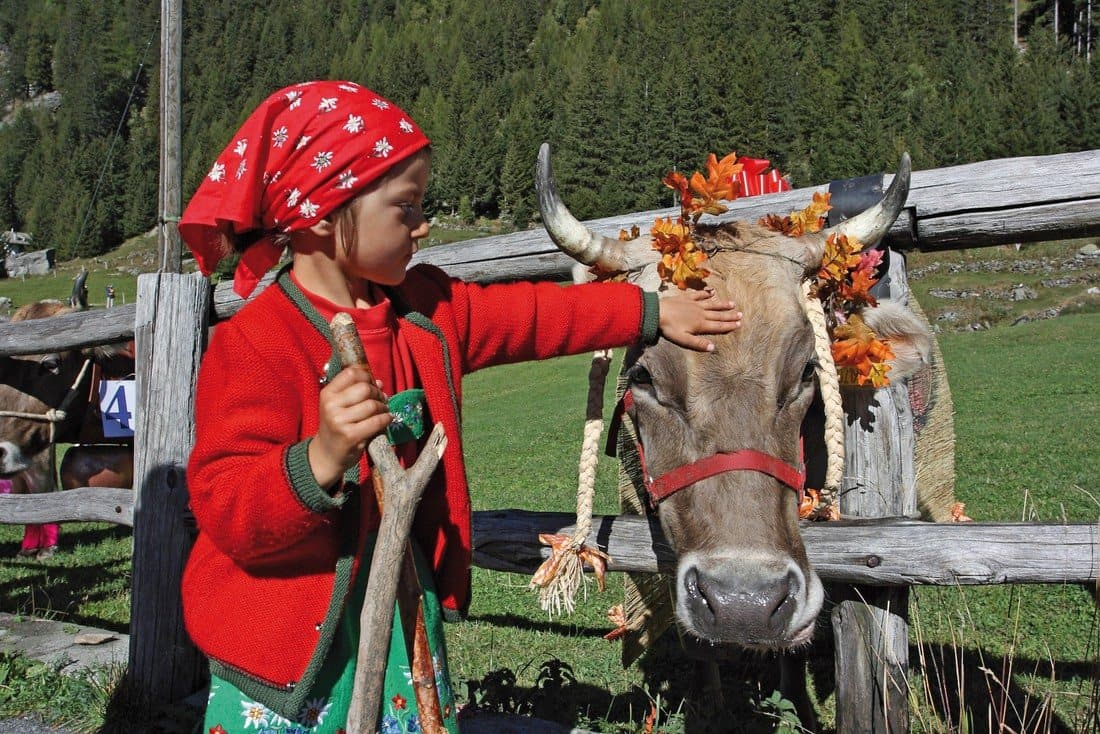 Festa dei Sapori dell'Alpe