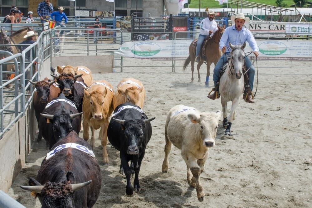 Valsassina Country Festival