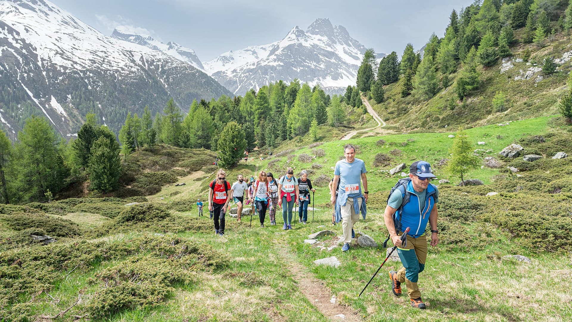 TrailRun Alta Valtellina Camminata con ristoro