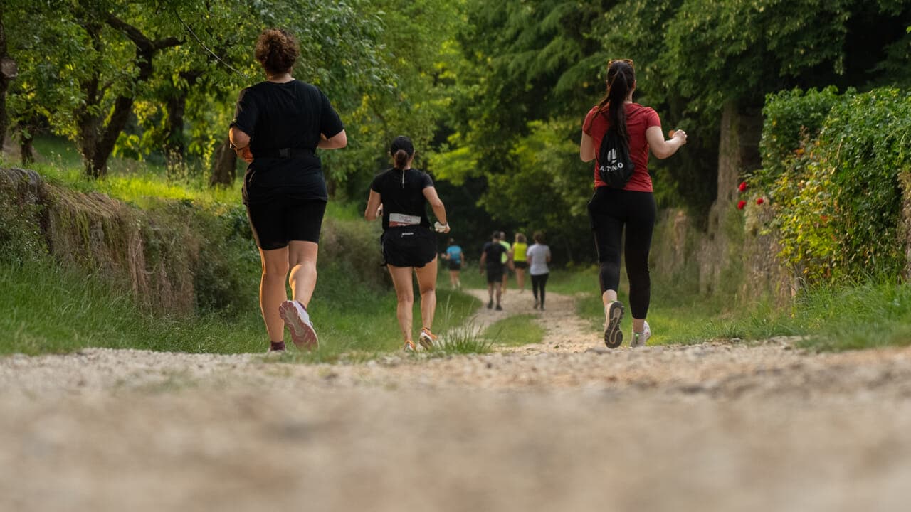 Chiaretto di Bardolino Run